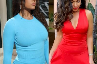 Molly Qerim Facing Backlash Over Her Racial Claim About NFL Players (VIDEO)
