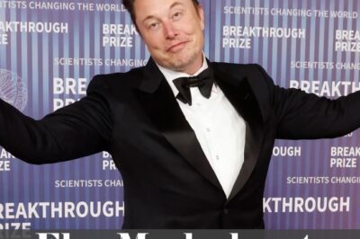BOMBSHELL: Elon Musk’s Shocking New Work Experiment Has Everyone Talking