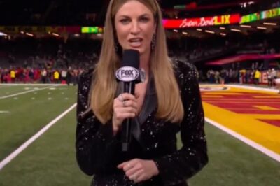 NFL Fans Saddened By Erin Andrews’ Health Update